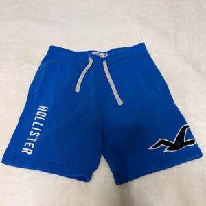 Hollister Mens Blue Fleece Jogger Shorts